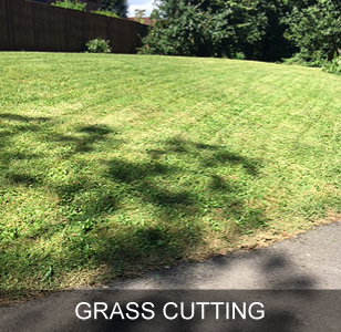 Turfing Farnham